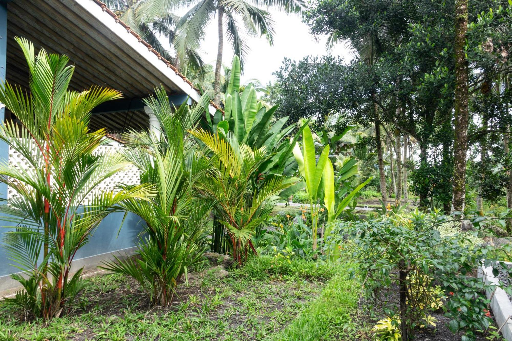 Darmada Eco Resort Sidemen  Exteriér fotografie